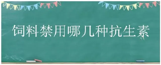 饲料禁用哪几种抗生素 | 科普知识