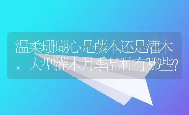 温柔珊瑚心是藤本还是灌木,大型灌木月季品种有哪些？ | 养殖常见问题