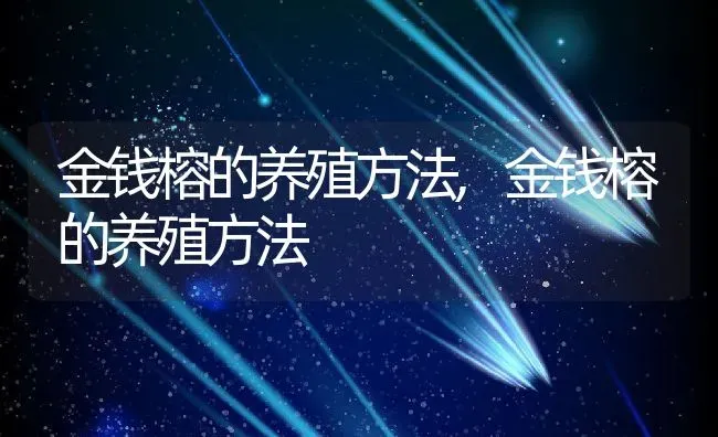 金钱榕的养殖方法,金钱榕的养殖方法 | 养殖常见问题