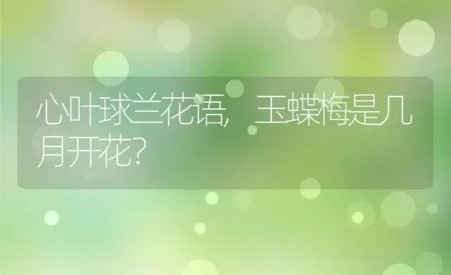 心叶球兰花语,玉蝶梅是几月开花？ | 养殖常见问题