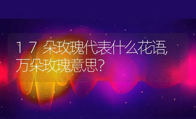 17朵玫瑰代表什么花语,万朵玫瑰意思？ | 养殖常见问题