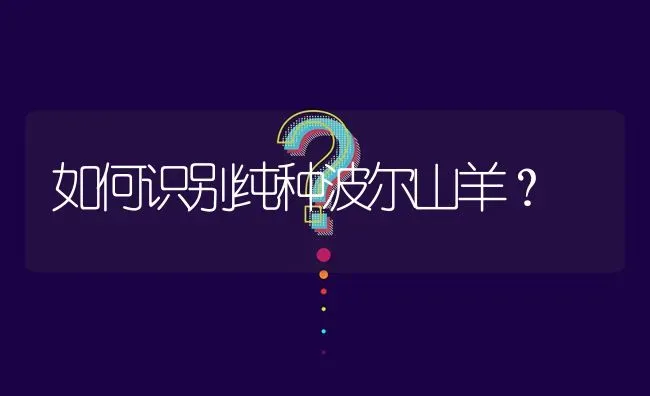 如何识别纯种波尔山羊? | 养殖问题解答