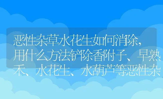 恶性杂草水花生如何消除,用什么方法铲除香附子、早熟禾、水花生、水葫芦等恶性杂草 | 养殖常见问题