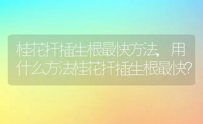桂花扦插生根最快方法,用什么方法桂花扦插生根最快？ | 养殖常见问题