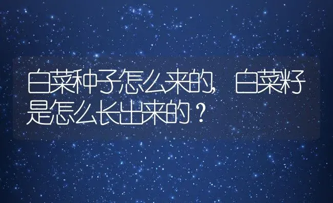 白菜种子怎么来的,白菜籽是怎么长出来的？ | 养殖常见问题