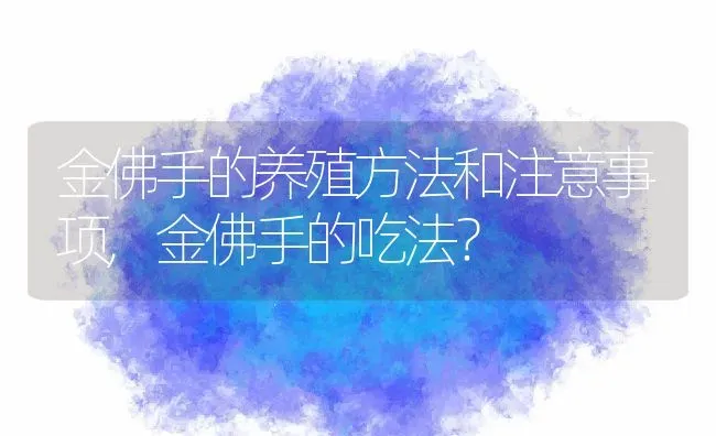 金佛手的养殖方法和注意事项,金佛手的吃法？ | 养殖常见问题