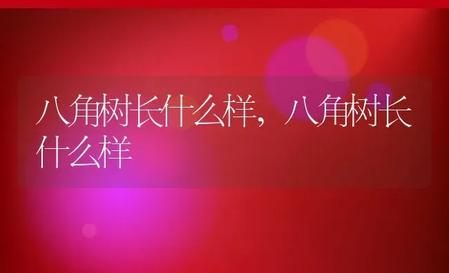 八角树长什么样,八角树长什么样 | 养殖常见问题