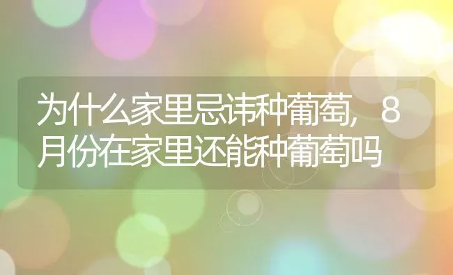 为什么家里忌讳种葡萄,8月份在家里还能种葡萄吗 | 养殖常见问题