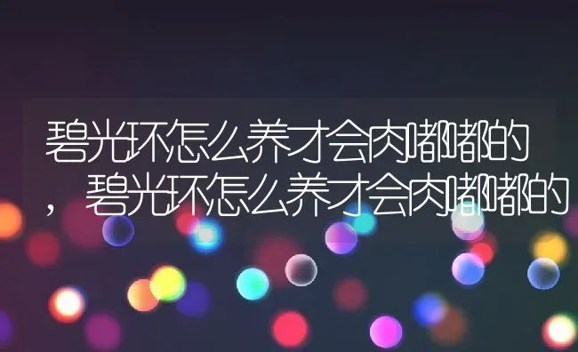 碧光环怎么养才会肉嘟嘟的,碧光环怎么养才会肉嘟嘟的 | 养殖常见问题