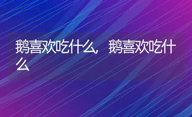 鹅喜欢吃什么,鹅喜欢吃什么 | 养殖常见问题