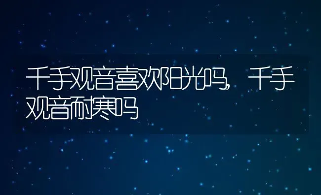 千手观音喜欢阳光吗,千手观音耐寒吗 | 养殖常见问题