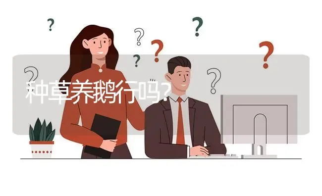 种草养鹅行吗? | 养殖问题解答