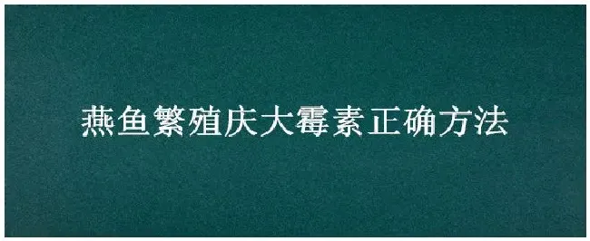 燕鱼繁殖庆大霉素正确方法 | 农业常识