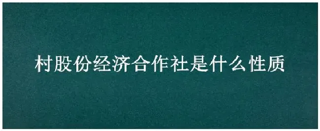 村股份经济合作社是什么性质 | 三农答疑