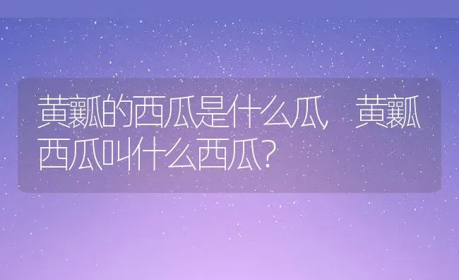 黄瓤的西瓜是什么瓜,黄瓤西瓜叫什么西瓜？ | 养殖常见问题