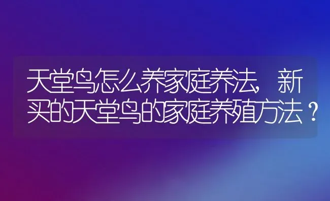 天堂鸟怎么养家庭养法,新买的天堂鸟的家庭养殖方法？ | 养殖常见问题