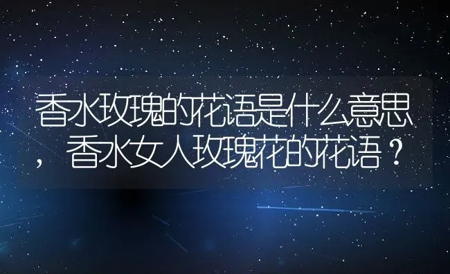 香水玫瑰的花语是什么意思,香水女人玫瑰花的花语？ | 养殖常见问题