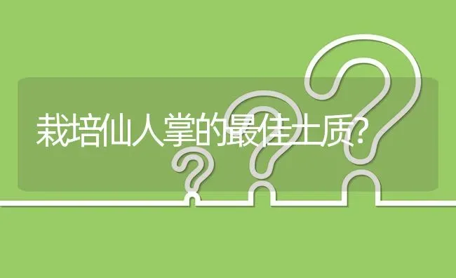 栽培仙人掌的最佳土质? | 养殖问题解答