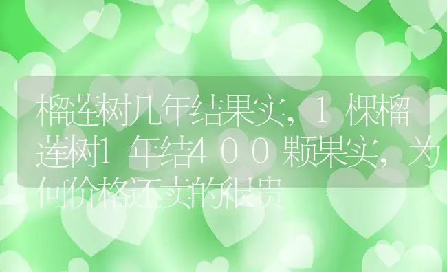 榴莲树几年结果实,1棵榴莲树1年结400颗果实，为何价格还卖的很贵 | 养殖常见问题