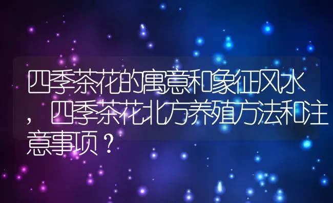 四季茶花的寓意和象征风水,四季茶花北方养殖方法和注意事项？ | 养殖常见问题