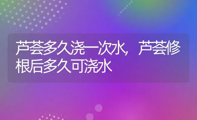 芦荟多久浇一次水,芦荟修根后多久可浇水 | 养殖常见问题