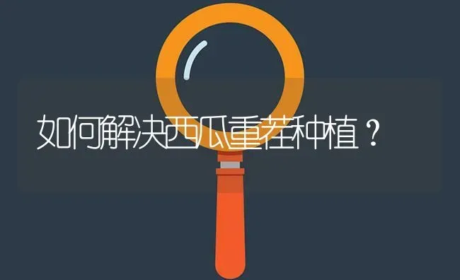 如何解决西瓜重茬种植? | 养殖问题解答