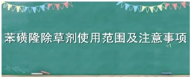 苯磺隆除草剂使用范围及注意事项 | 科普知识