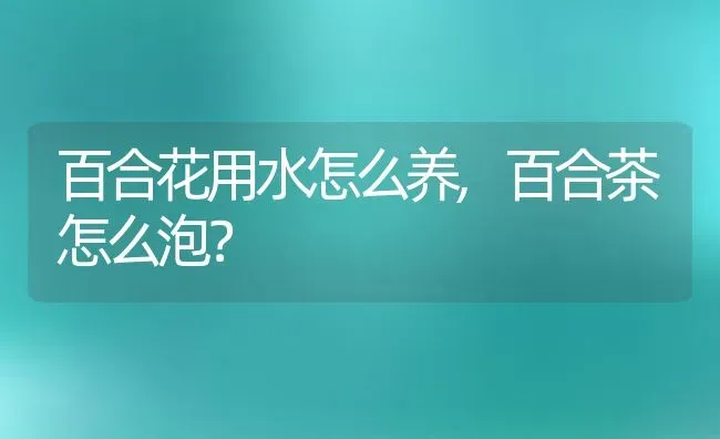 白花泡桐花语,白花泡桐花语？ | 养殖常见问题