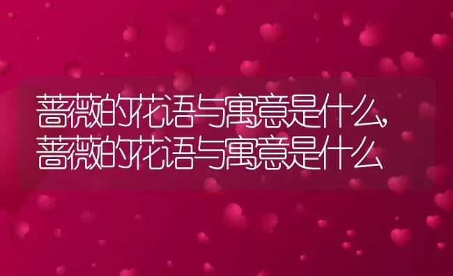 蔷薇的花语与寓意是什么,蔷薇的花语与寓意是什么 | 养殖常见问题