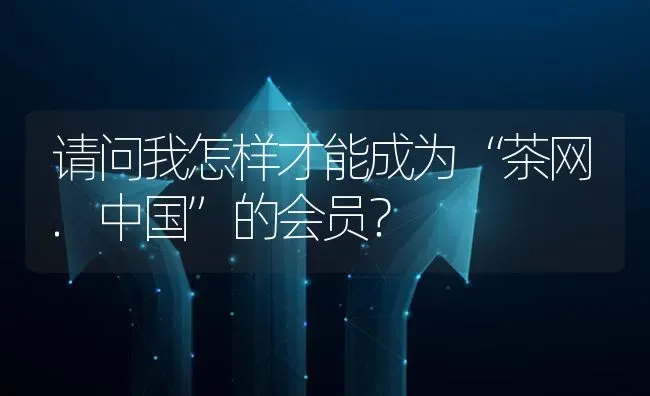 请问我怎样才能成为“茶网.中国”的会员? | 养殖问题解答