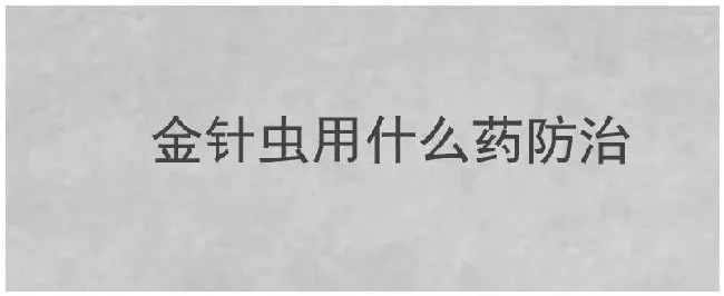 金针虫用什么药防治 | 农业常识