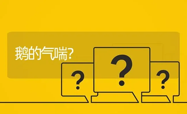 鹅的气喘? | 养殖问题解答