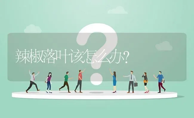 辣椒落叶该怎么办? | 养殖问题解答