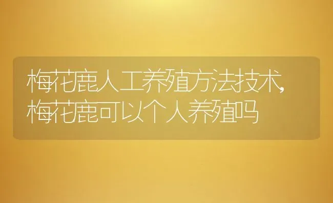 梅花鹿人工养殖方法技术,梅花鹿可以个人养殖吗 | 养殖常见问题