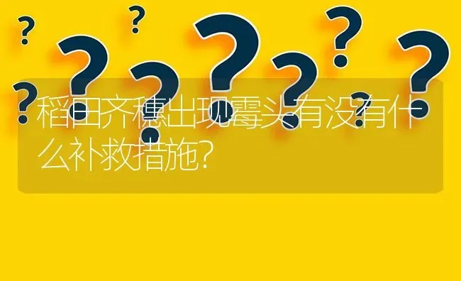稻田齐穗出现霉头有没有什么补救措施? | 养殖问题解答