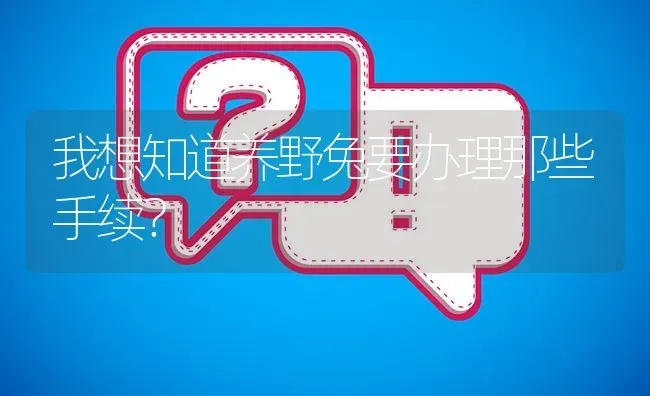 我想知道养野兔要办理那些手续? | 养殖问题解答