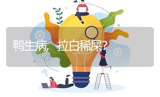 鸭生病,拉白稀屎? | 养殖问题解答