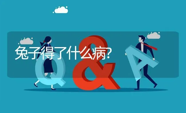 兔子得了什么病? | 养殖问题解答