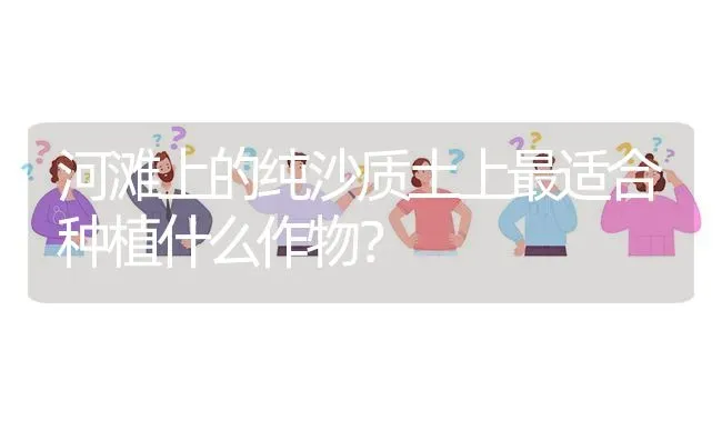 河滩上的纯沙质土上最适合种植什么作物? | 养殖问题解答