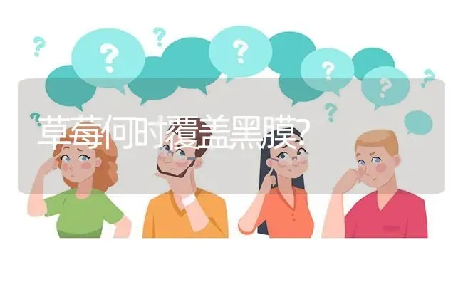 草莓何时覆盖黑膜? | 养殖问题解答