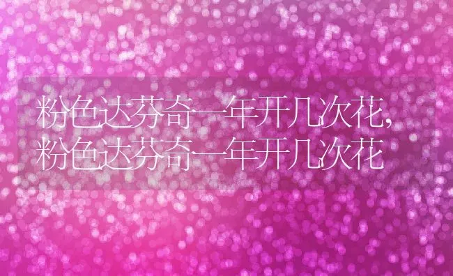 粉色达芬奇一年开几次花,粉色达芬奇一年开几次花 | 养殖常见问题