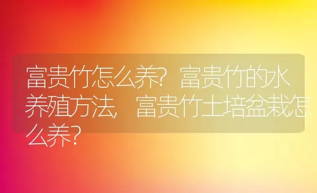 富贵竹怎么养?富贵竹的水养殖方法,富贵竹土培盆栽怎么养？ | 养殖常见问题