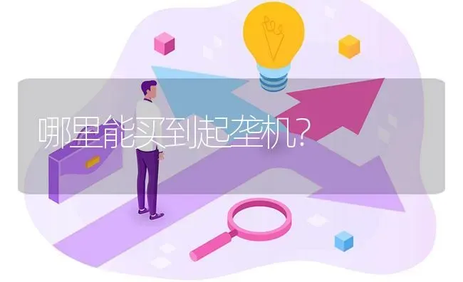 哪里能买到起垄机? | 养殖问题解答