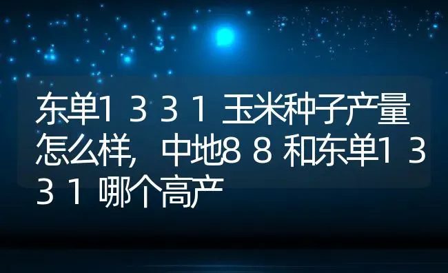 东单1331玉米种子产量怎么样,中地88和东单1331哪个高产 | 养殖常见问题