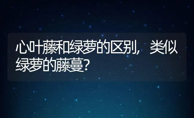 心叶藤和绿萝的区别,类似绿萝的藤蔓？ | 养殖常见问题