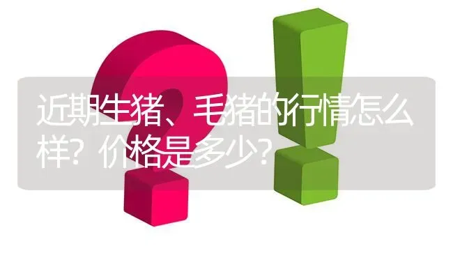 近期生猪、毛猪的行情怎么样?价格是多少? | 养殖问题解答