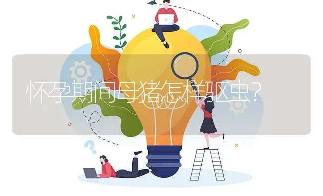 怀孕期间母猪怎样驱虫? | 养殖问题解答