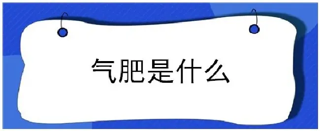 气肥是什么 | 三农答疑