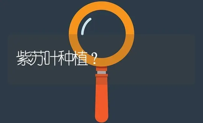 紫苏叶种植? | 养殖问题解答