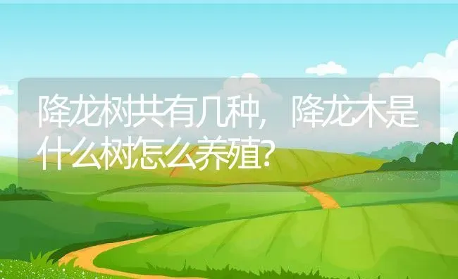 降龙树共有几种,降龙木是什么树怎么养殖？ | 养殖常见问题